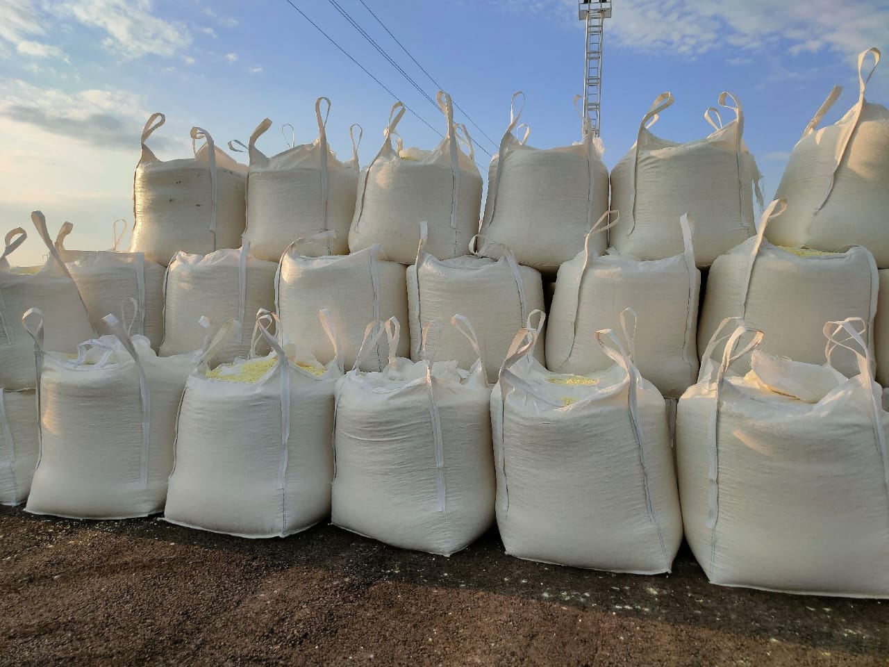 Sulphur Granular – Lump & Powder - Image 2