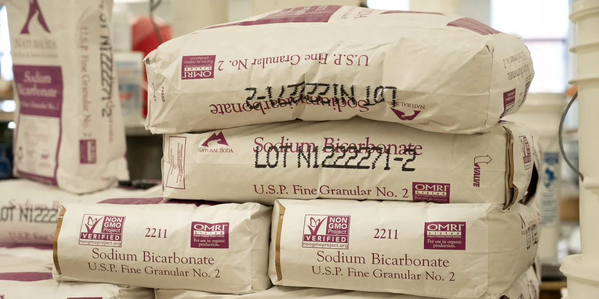 Sodium Bicarbonate (Bicarbonate of Soda) - Image 2